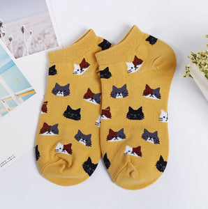 Women short socks lolliesocks kitten socks yellow